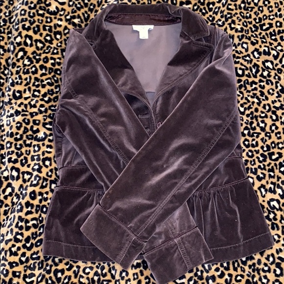 Velvet LOFT Blazer - Picture 1 of 6
